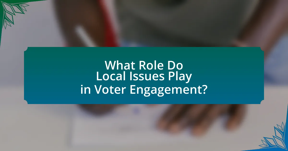 What Role Do Local Issues Play in Voter Engagement?